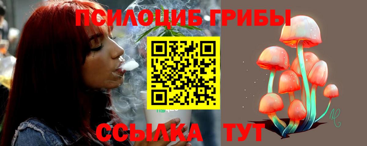 Галлюциногенные грибы GOLDEN TEACHER  Вход с VPN  где можно купить наркотик  Шумерля  Галлюциногенные грибы Cubensis 